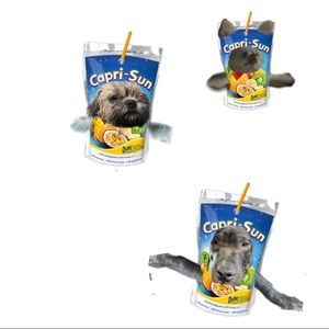 Meet your Posher, Anamarie